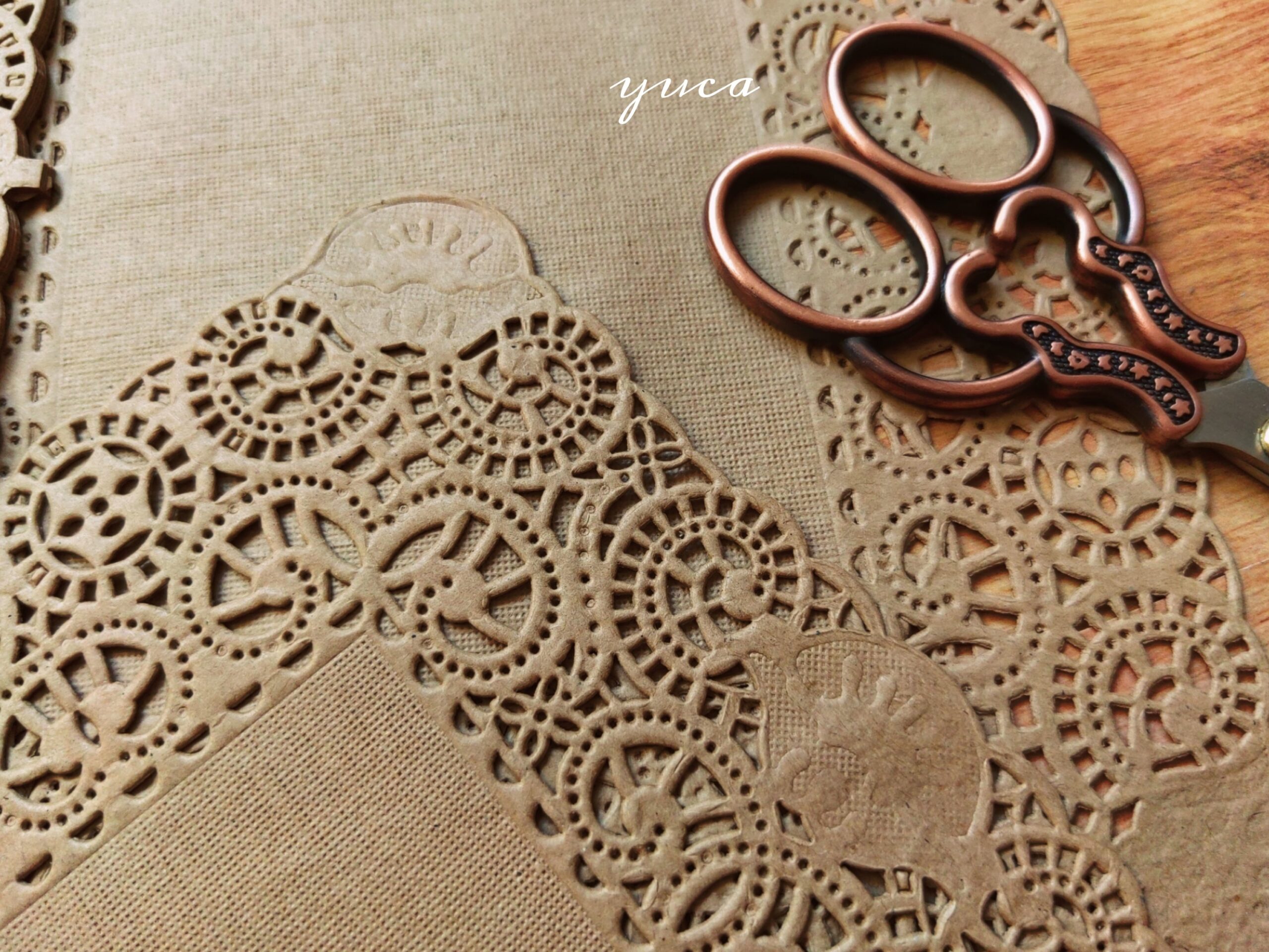 Craft doyleis - Image 9