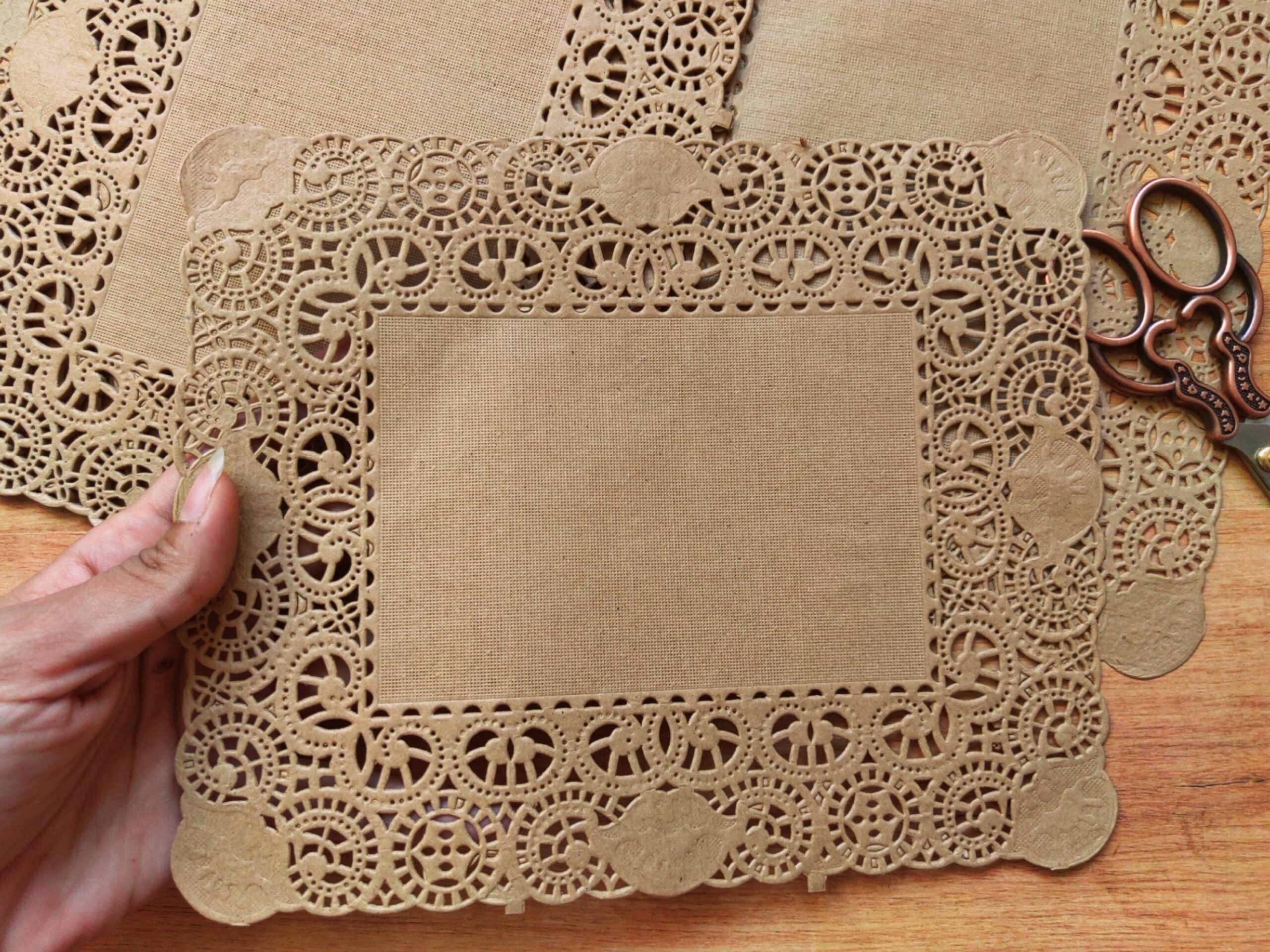 Craft doyleis - Image 6