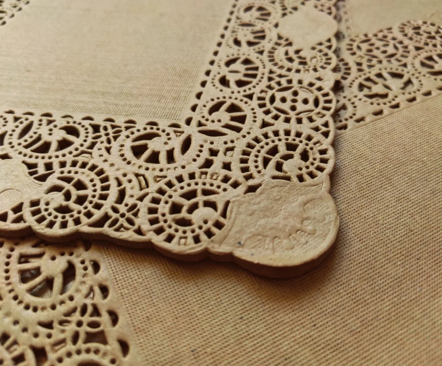 Craft doyleis - Image 3