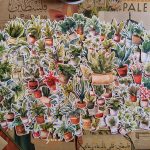 plants stickers (huge collection