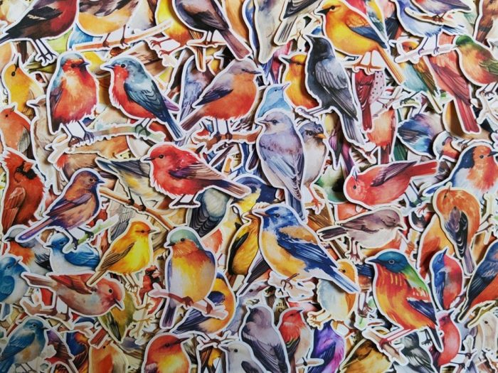 birds stickers |||| - Image 4
