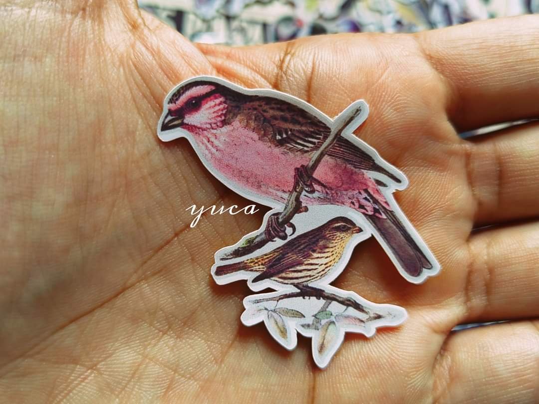Birds stickers - Image 3