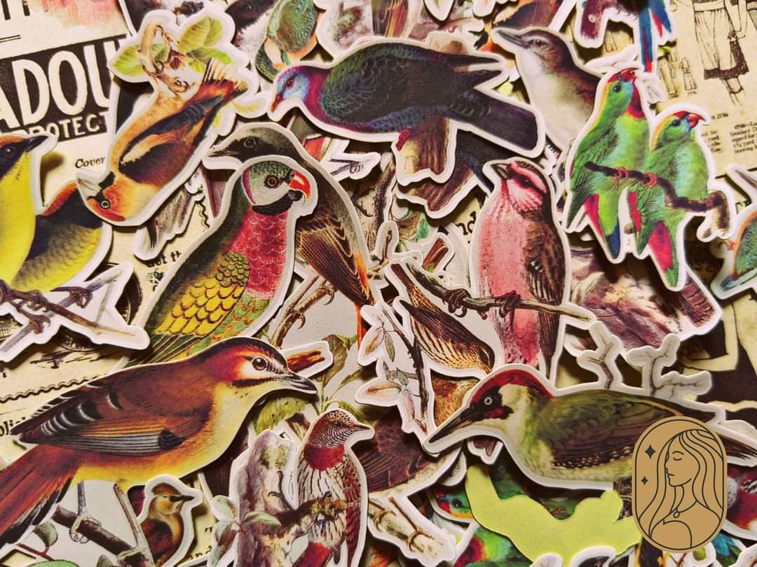 Birds stickers - Image 2