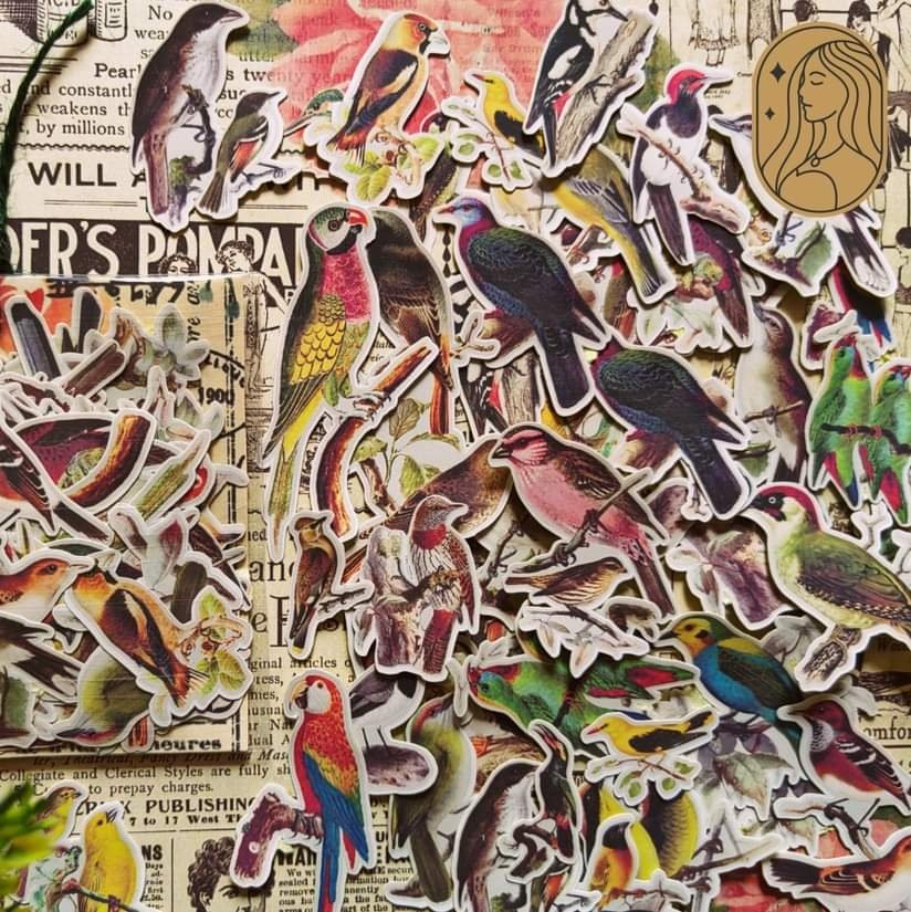 Birds stickers