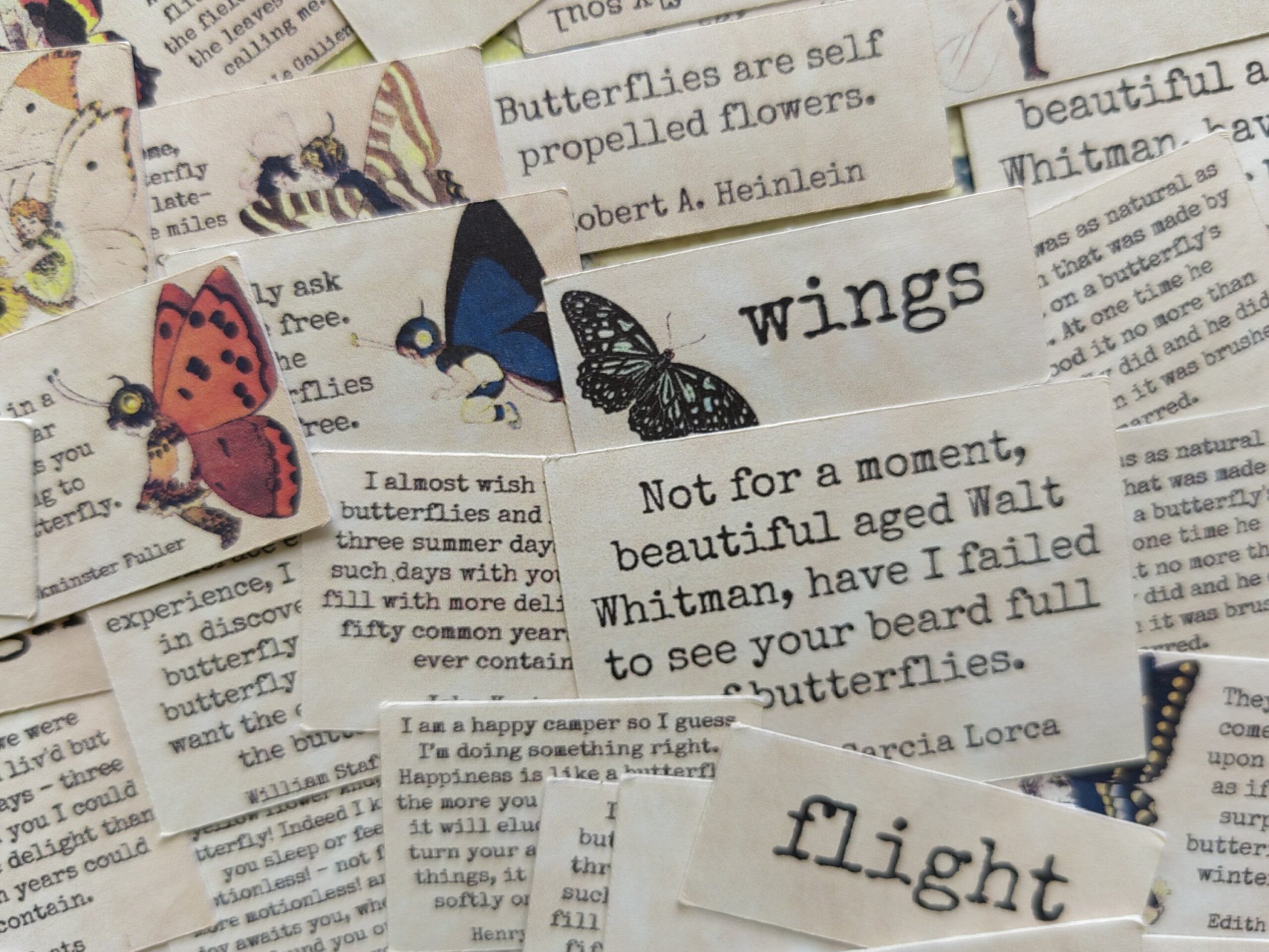 Butterflies qoutes