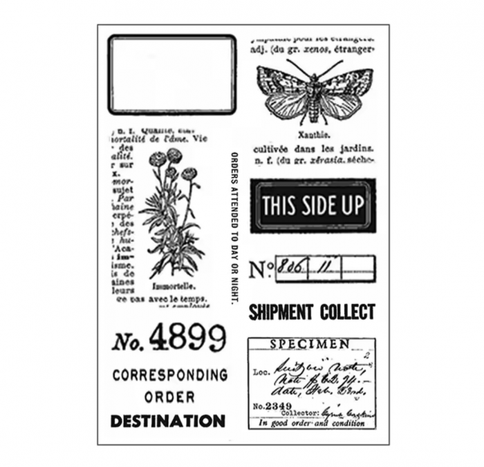 clear stamps - Image 3