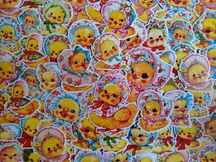 Little cute ducks - Image 5