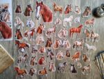 Horses stickers - Image 7