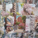 あさ - Asa paper pack