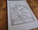 The language of flowers coloring book - Image 7