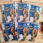 Van Gogh mini book