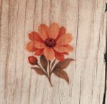 Autumn flowers - Image 7